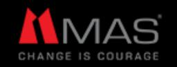 MAS Holding GmbH