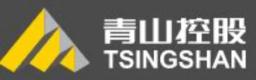 Tsingshan Holdinggruppe