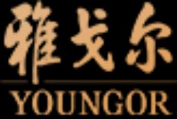 Youngor Gruppe GmbH