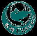 Shandong Chenming Papier Holding GmbH