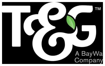 T&G Global Limited