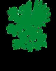 UPM-Kymmene AG