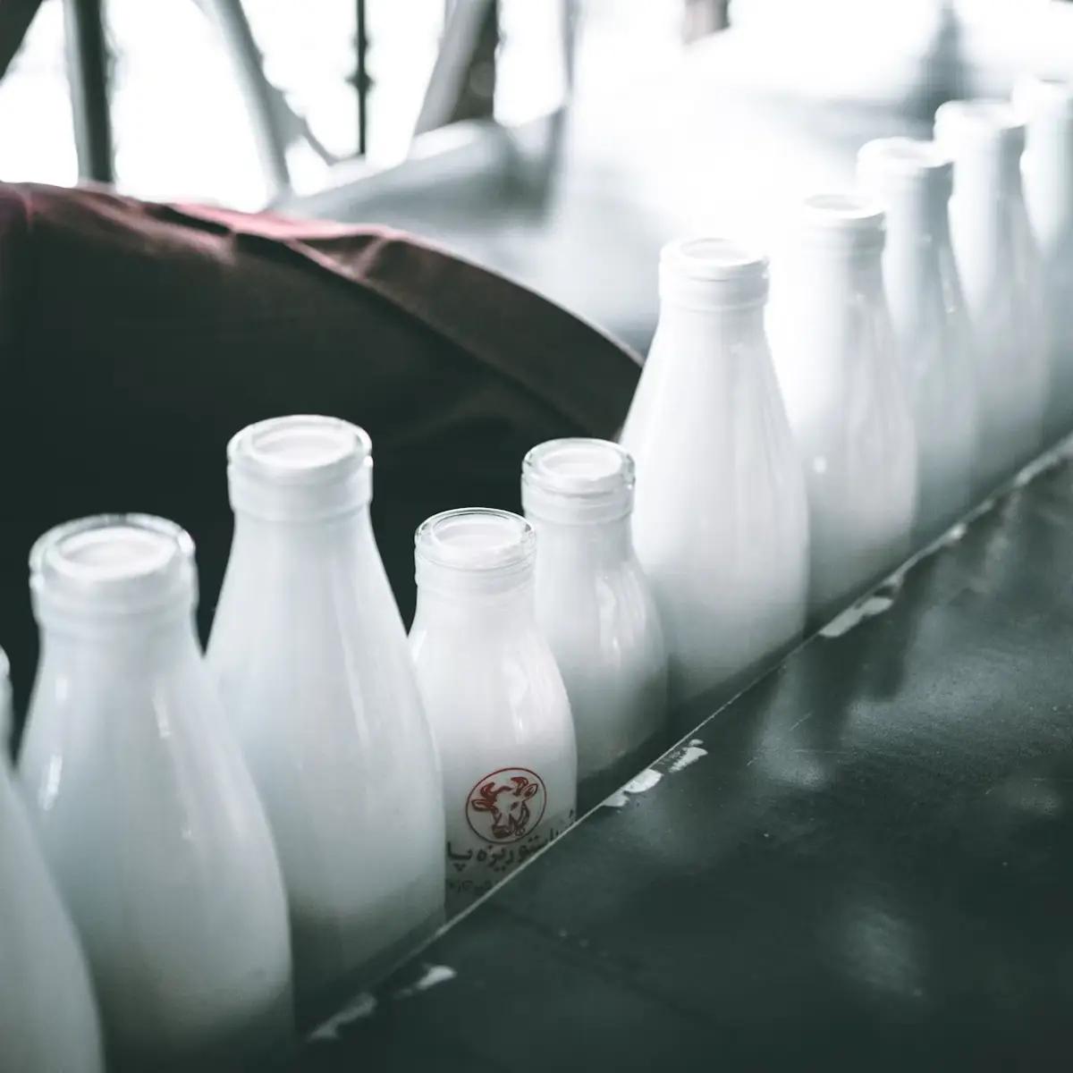 Lieferanten für Milch- und Eiprodukte