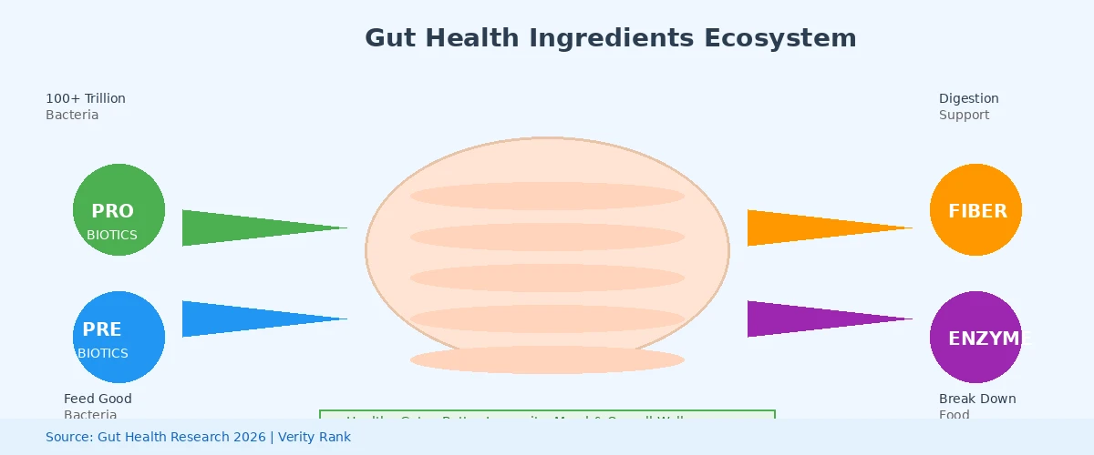 Diagramm zeigt Darmgesundheits-Inhaltsstoffe und ihre Vorteile
